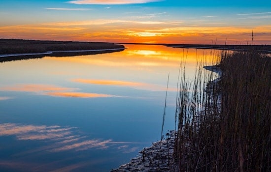 Explore Texas State Parks for Free on November 3 with Texas State Parks Day Celebration