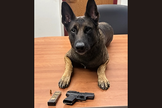 Fairfield Duo Arrested in American Canyon for DUI and Illegal Firearm Possession after Highway 29 Traffic Stop