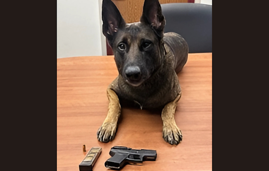 Fairfield Duo Arrested in American Canyon for DUI and Illegal Firearm Possession after Highway 29 Traffic Stop