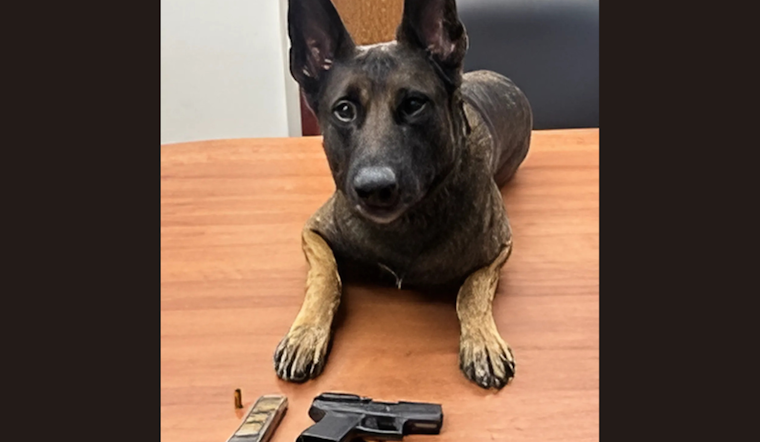 Fairfield Duo Arrested in American Canyon for DUI and Illegal Firearm Possession after Highway 29 Traffic Stop