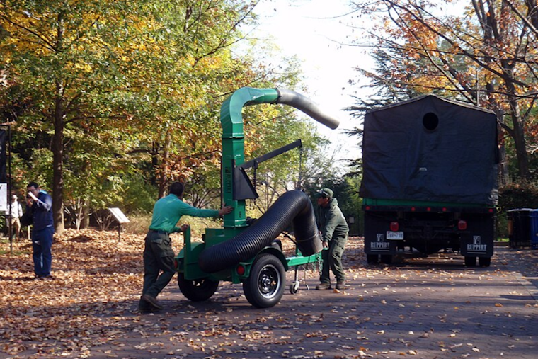 Fairlawn Announces Free Leaf Pickup Schedule to Maintain Autumn Cleanliness
