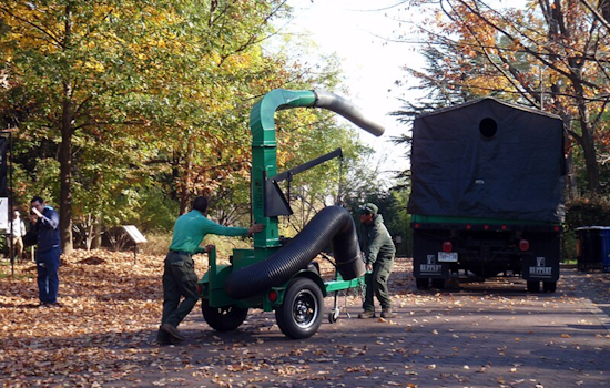 Fairlawn Announces Free Leaf Pickup Schedule to Maintain Autumn Cleanliness