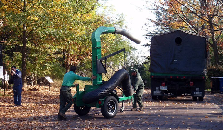 Fairlawn Announces Free Leaf Pickup Schedule to Maintain Autumn Cleanliness
