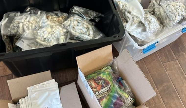 Fallbrook Man Charged with Running Major Psilocybin Mushroom Operation, San Diego Deputies Seize $200K Worth of Drugs