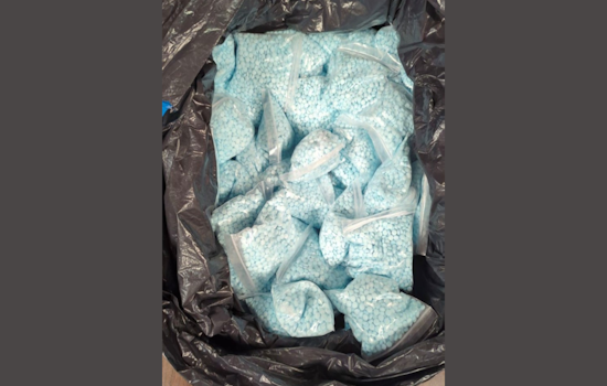 Family-Run Fentanyl Empire Crumbles: 14 Charged in Renton-Based Multi-State Drug Ring Linked to Fatal Overdose