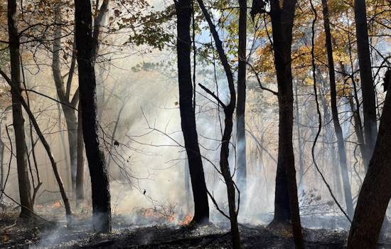 Fayette County Battles Multi-County Effort to Contain Rampant Brush Fire