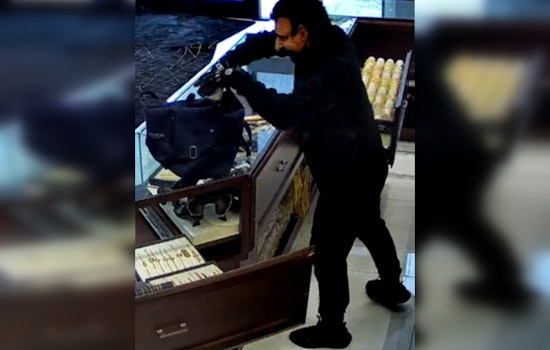 FBI Seeks Public's Help to Identify Suspects in Multi-State Jewelry Store Armed Robberies