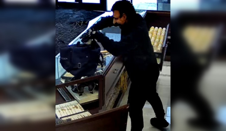 FBI Seeks Public's Help to Identify Suspects in Multi-State Jewelry Store Armed Robberies