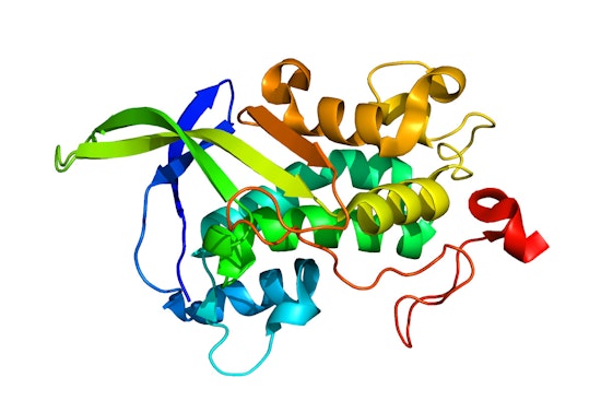 FDA Approves Groundbreaking Aqneursa for Treatment of Niemann-Pick Disease, Uplifting Austin Family and NPC Community