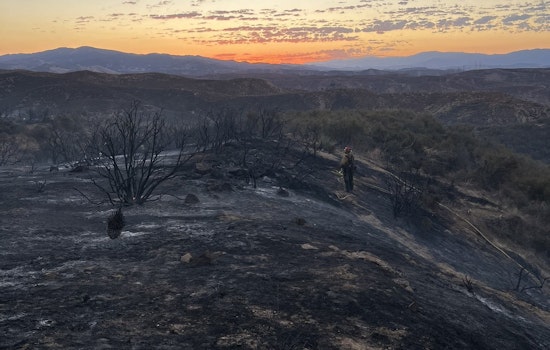 Firefighters Achieve 50% Containment in Castaic's 25-Acre Brush Fire Near Lake Hughes Road