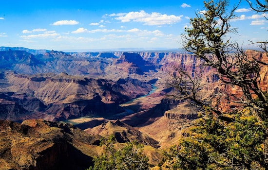 Flagstaff Man Sentenced to 20 Months for Arson in Grand Canyon National Park