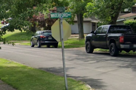 Florissant Hit-and-Run Claims Lives of Pedestrian and Dog, Police Seek Public's Help
