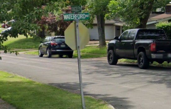 Florissant Hit-and-Run Claims Lives of Pedestrian and Dog, Police Seek Public's Help