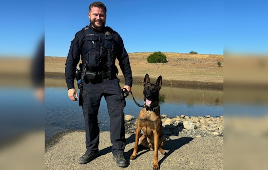 Folsom Welcomes New K-9 'Vinny' to Police Force, Enhancing Local Law Enforcement Team