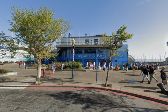 Former Aquarium of the Bay CEO Sues for Wrongful Termination Amid Discrimination and Defamation Claims