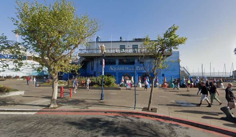 Former Aquarium of the Bay CEO Sues for Wrongful Termination Amid Discrimination and Defamation Claims