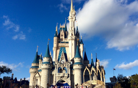 Former Disney Employee Accused of Menu System Hack and Altering Allergen Info in Florida