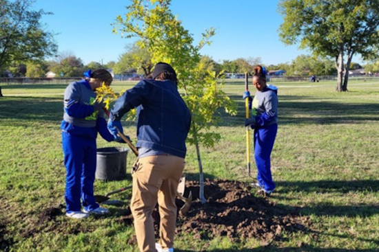Fort Worth Celebrates Arbor Day at Log Cabin Village, Free Admission and Tree Seedling Giveaway Planned