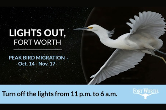 Fort Worth Endorses "Lights Out" Campaign to Safeguard Migratory Birds during Peak Seasons