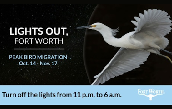 Fort Worth Endorses "Lights Out" Campaign to Safeguard Migratory Birds during Peak Seasons