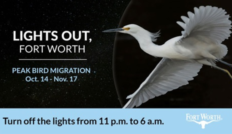 Fort Worth Endorses "Lights Out" Campaign to Safeguard Migratory Birds during Peak Seasons