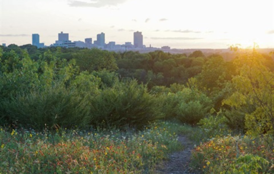 Fort Worth Plans to Expand Urban Greenspace, Introduces Open Space Guidelines for Conservation