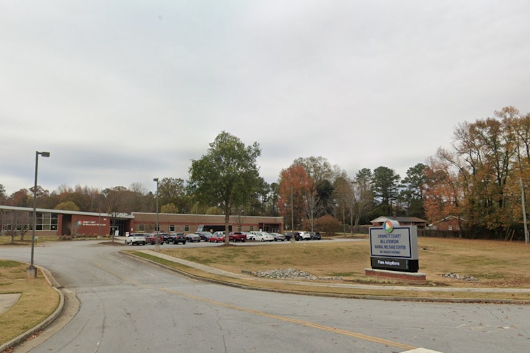 Free Adoptions and Fun for Lawrenceville's Shelter Pets at Gwinnett Animal Welfare