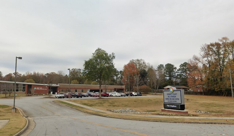 Free Adoptions and Fun for Lawrenceville's Shelter Pets at Gwinnett Animal Welfare