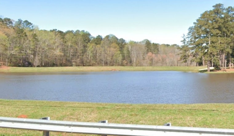 Good Samaritans and First Responders Heroically Save Driver After Car Sinks in Senoia Lake