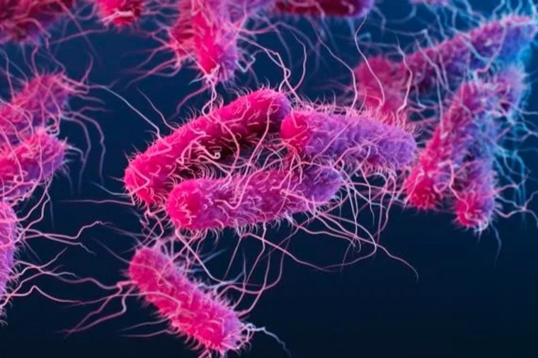 Governor Abbott Issues Disaster Declaration for Webb County Amid E. coli Water Crisis