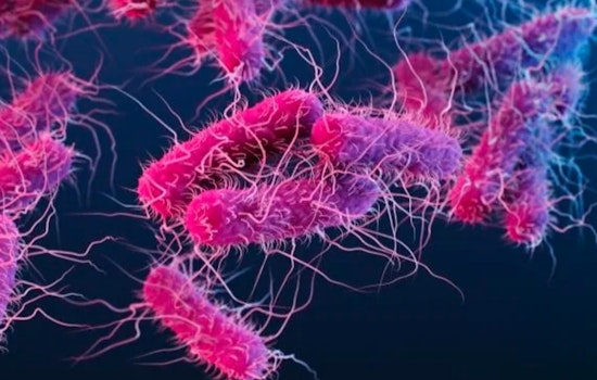 Governor Abbott Issues Disaster Declaration for Webb County Amid E. coli Water Crisis