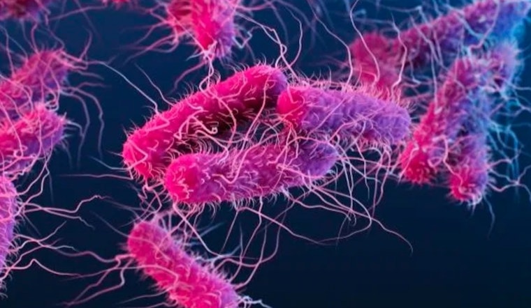 Governor Abbott Issues Disaster Declaration for Webb County Amid E. coli Water Crisis