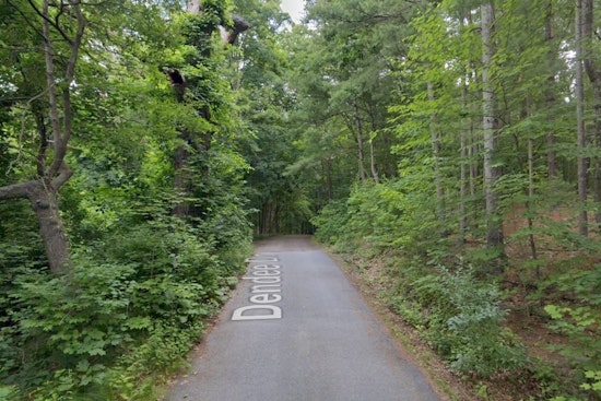 Grafton Tragedy as 86-Year-Old Man Killed by Fallen Tree Limb Amidst New England Storms