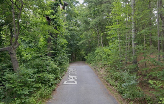 Grafton Tragedy as 86-Year-Old Man Killed by Fallen Tree Limb Amidst New England Storms