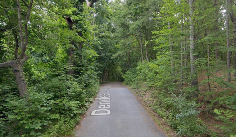 Grafton Tragedy as 86-Year-Old Man Killed by Fallen Tree Limb Amidst New England Storms