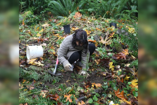 Green Redmond Day, Join the Forest Stewards in Community Conservation Efforts