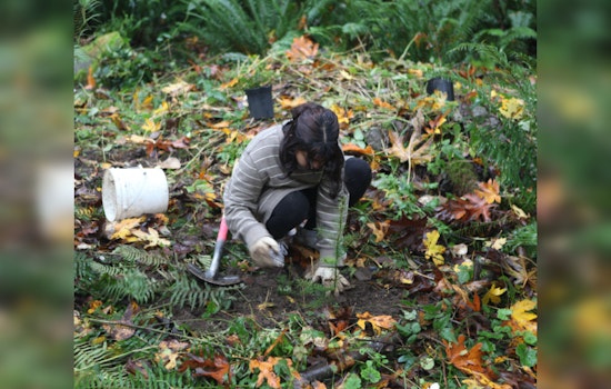 Green Redmond Day, Join the Forest Stewards in Community Conservation Efforts