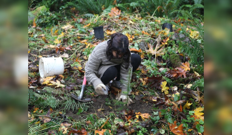 Green Redmond Day, Join the Forest Stewards in Community Conservation Efforts