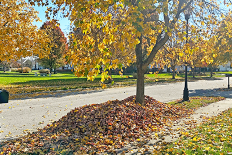 Grove City Announces 2024 Leaf Collection Schedule, Residents Guided on Eco-Friendly Disposal