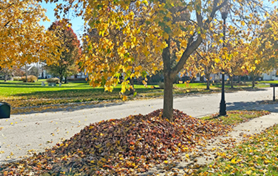 Grove City Announces 2024 Leaf Collection Schedule, Residents Guided on Eco-Friendly Disposal