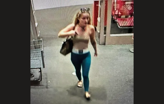 Gunshot Fired During Altercation at Spring Hill Target, Suspect Identified and Cooperating with Police