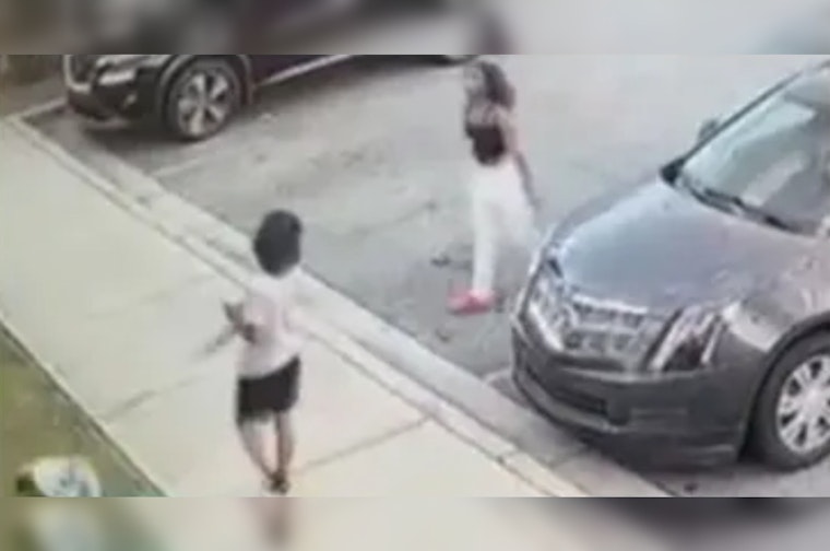 Gwinnett County Police Seek Assistance in Suspected Pet Theft at Sugarloaf Summit Apartments
