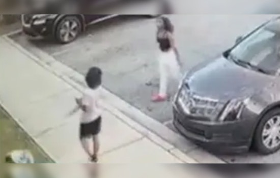 Gwinnett County Police Seek Assistance in Suspected Pet Theft at Sugarloaf Summit Apartments