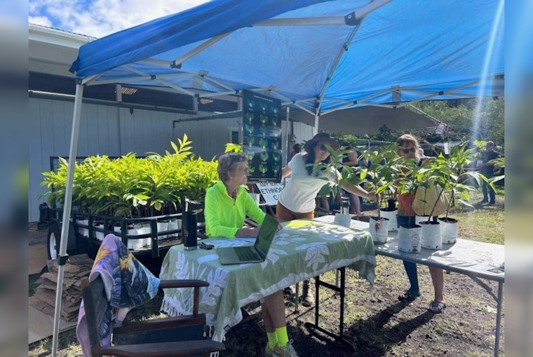 Hawaiʻi Celebrates Arbor Day with Statewide Tree Giveaways and Cultural Festivities