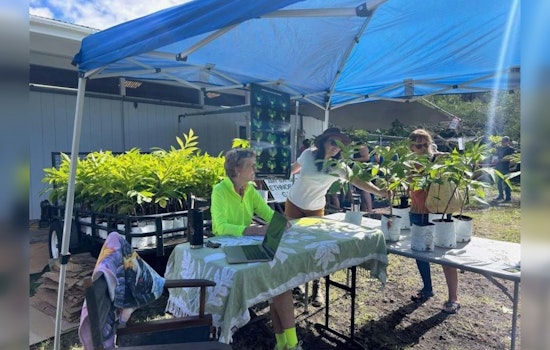 Hawaiʻi Celebrates Arbor Day with Statewide Tree Giveaways and Cultural Festivities