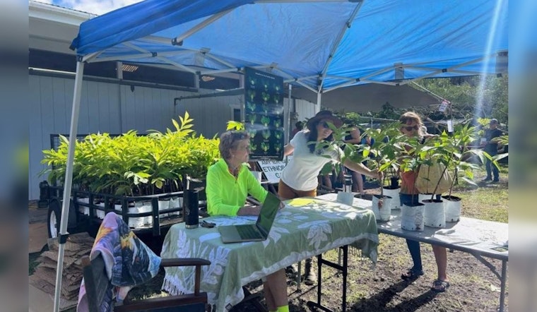 Hawaiʻi Celebrates Arbor Day with Statewide Tree Giveaways and Cultural Festivities