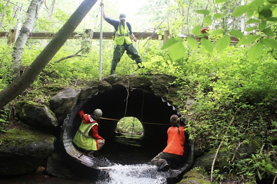 Healey-Driscoll Administration Invests $2.4M in Massachusetts Eco-Restoration to Bolster Climate Resilience
