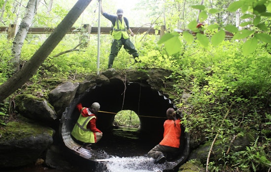 Healey-Driscoll Administration Invests $2.4M in Massachusetts Eco-Restoration to Bolster Climate Resilience