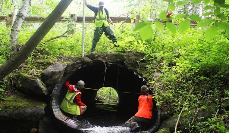 Healey-Driscoll Administration Invests $2.4M in Massachusetts Eco-Restoration to Bolster Climate Resilience
