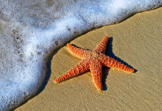 Health Advisory Issued for Popular LA County Beaches Due to High Bacterial Levels